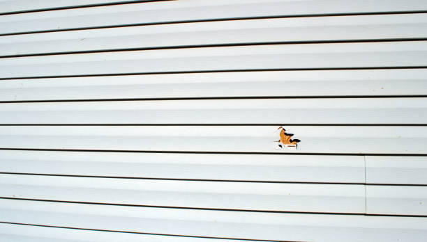 Best Siding Removal and Disposal  in Weyauwega, WI