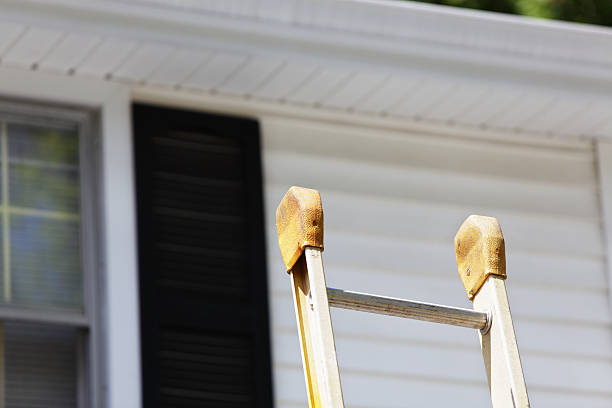 Best Aluminum Siding Installation  in Weyauwega, WI