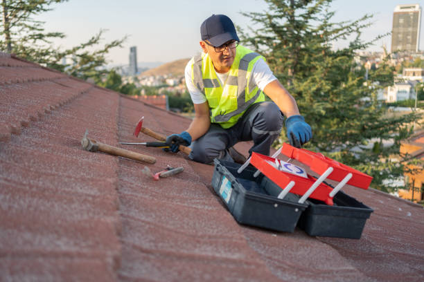 Best Historical Building Siding Restoration  in Weyauwega, WI