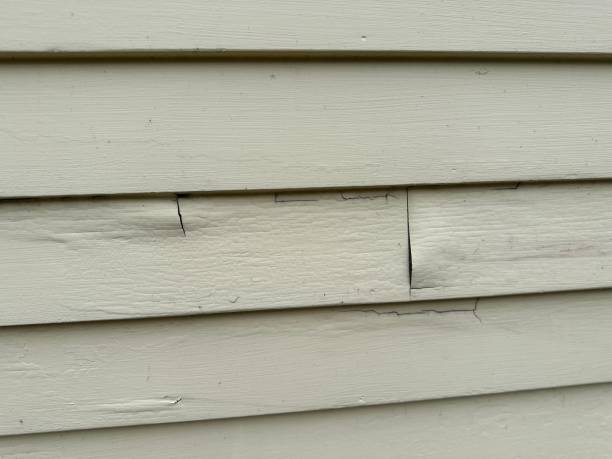 Affordable siding repair and maintenance services in Weyauwega, WI