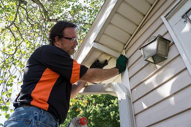 Best Brick Veneer Siding  in Weyauwega, WI